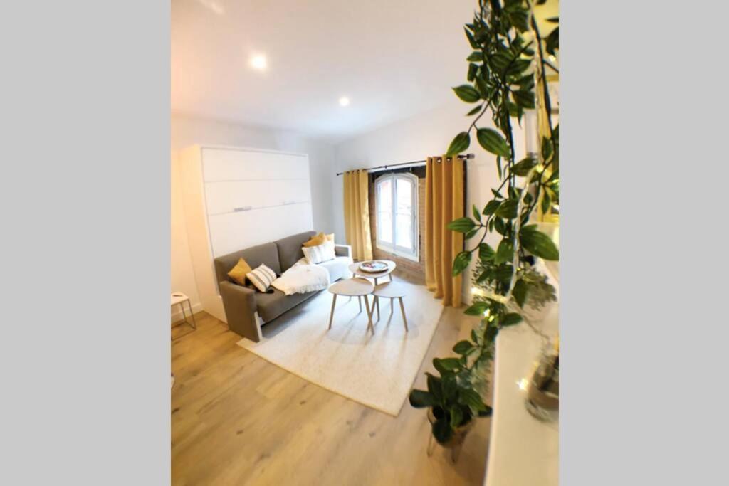Le Floral - Hypercentre Capitole # Parking Prive # Queen Size Toulouse Exterior foto
